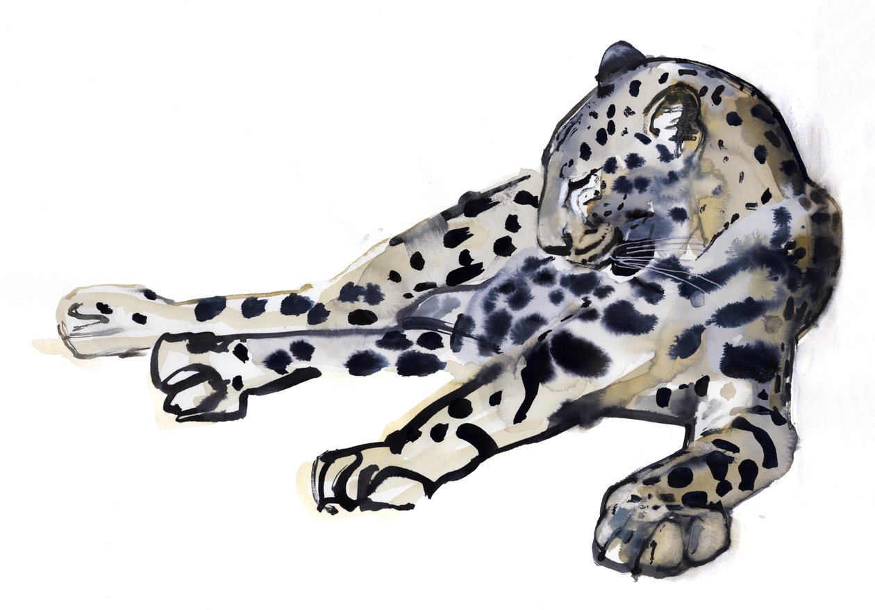 Liggande (arabisk leopard), 2008 av Mark Adlington