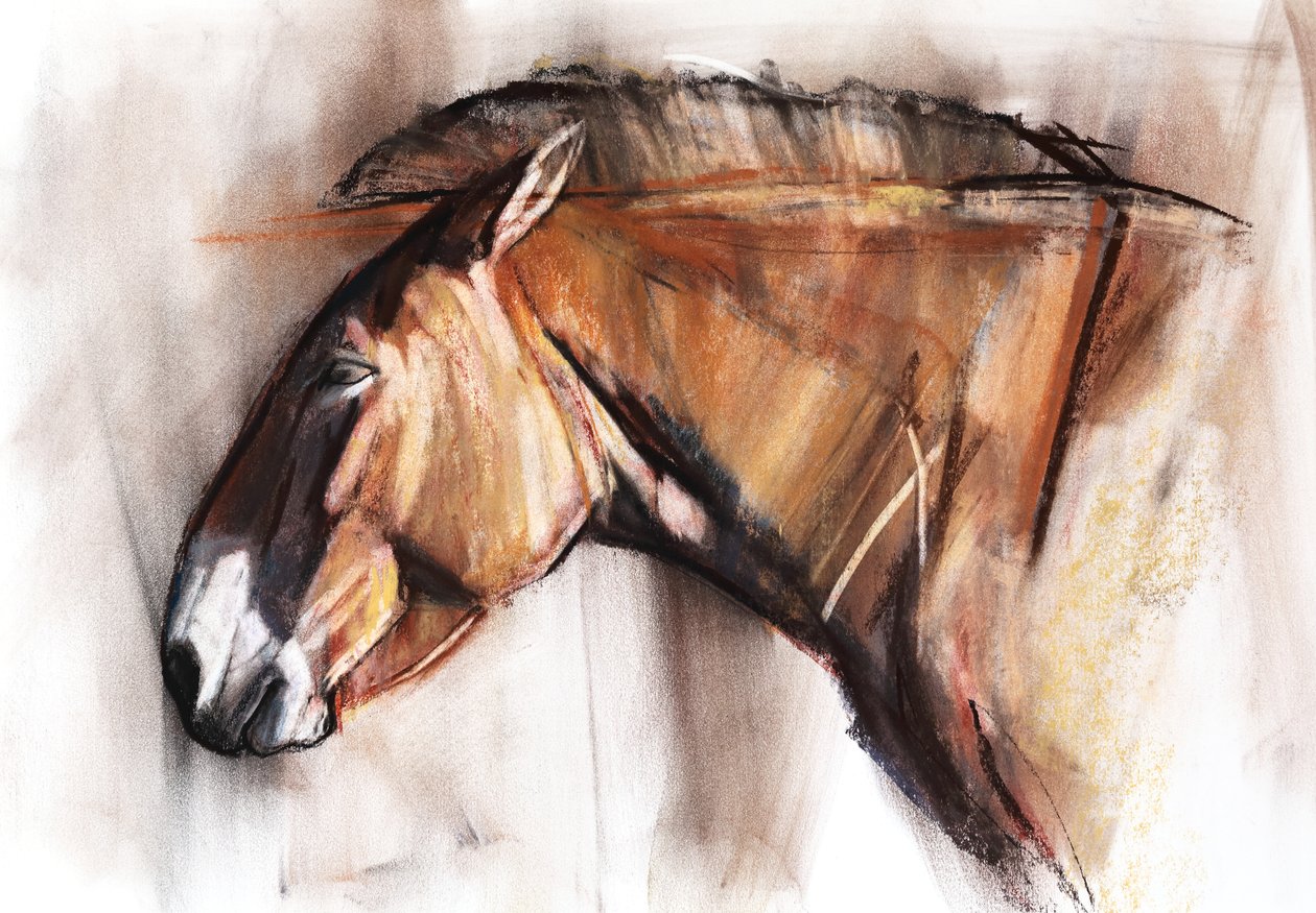 Resting Horse, 2013, (pastell och kol på papper) av Mark Adlington