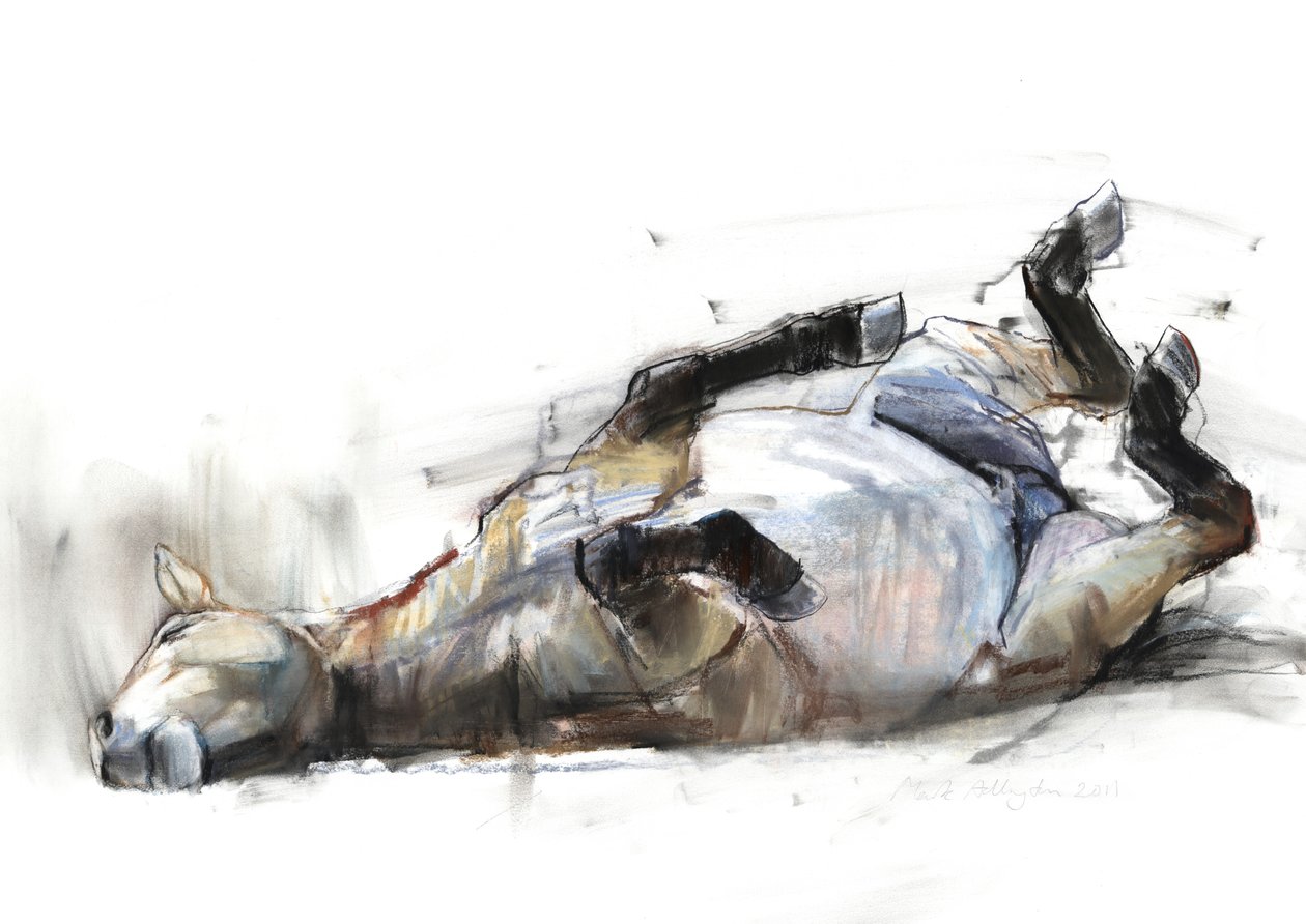 Rolling Rolling Rolling, 2011, (kol, conté och pastell på papper) av Mark Adlington