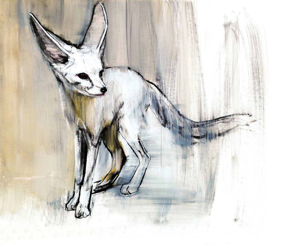 Sand Fox, 2009 (conte und charcoal på papper) av Mark Adlington