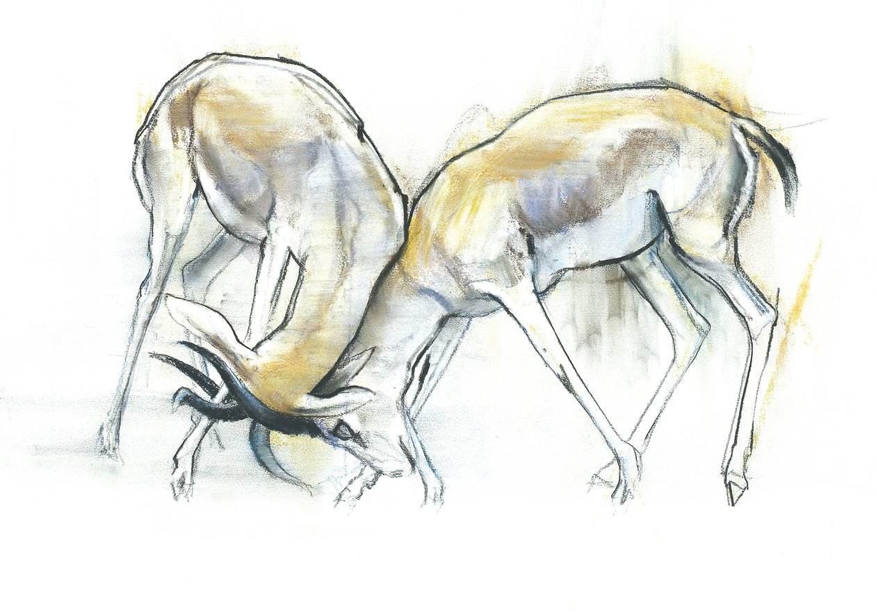 Sandgaseller, 2009 (conte och kol på papper) av Mark Adlington