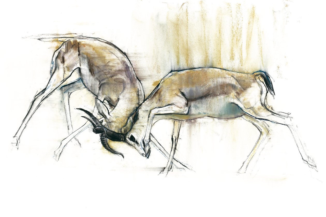 Sand Gazelles, 2009 (conte och träkol på papper) av Mark Adlington