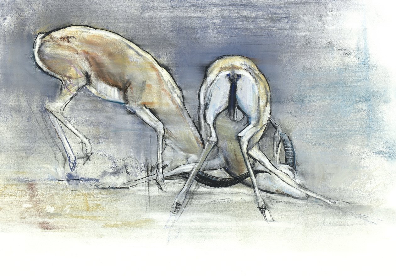 Sandgaseller, 2009 (conte och kol på papper) av Mark Adlington