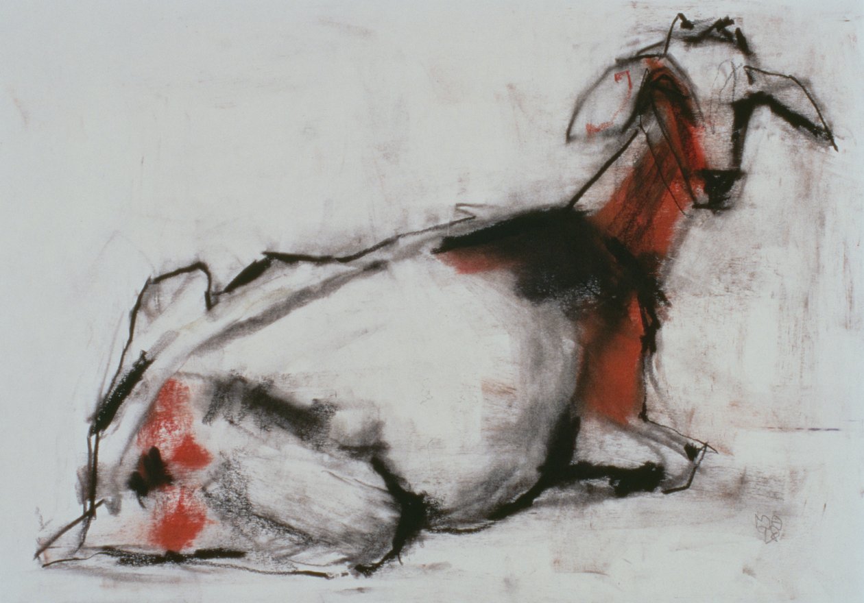 Sittande get, 1998 (conte och kol på papper) av Mark Adlington