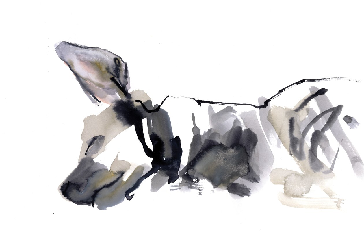 Sleeping Hyaena, 2010, (akvarell på papper) av Mark Adlington