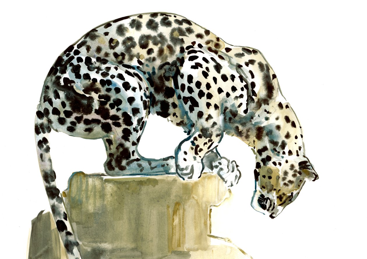 Spine (arabisk leopard), 2015, (akvarell och gouache på papper) av Mark Adlington