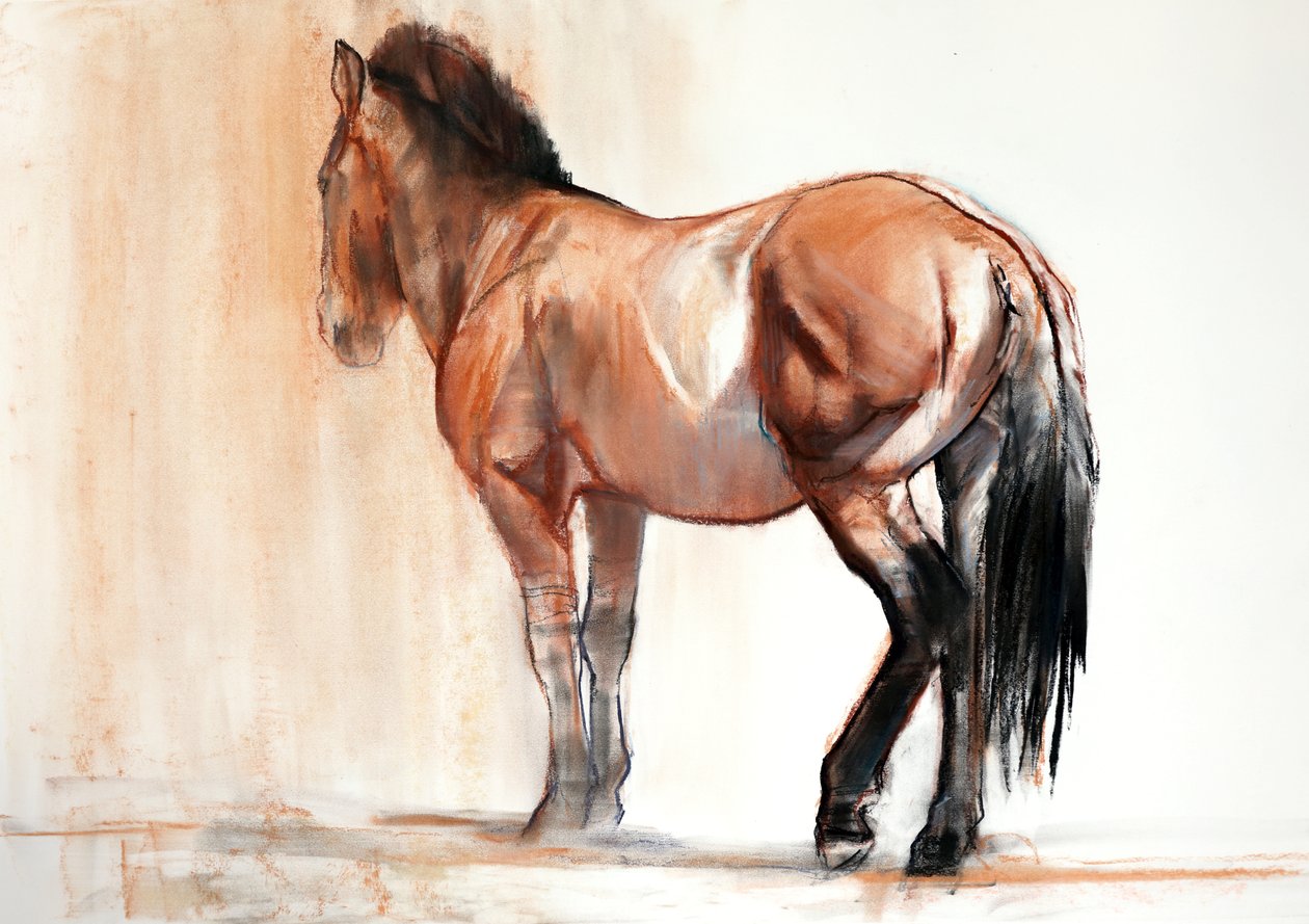 Stativ (Przewalski), 2013, (pastell och kol på papper) av Mark Adlington
