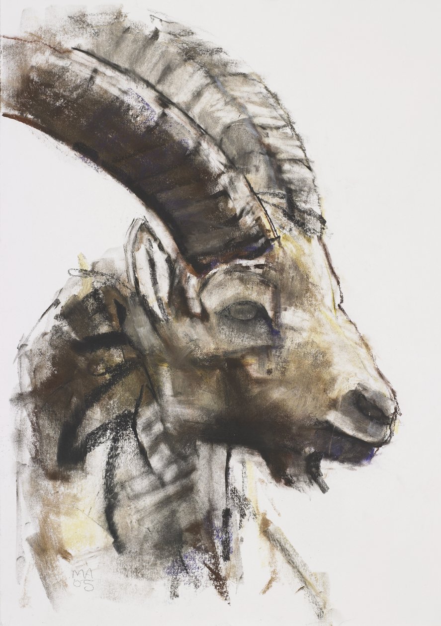 Testa, 2005 (träkol och krita på papper) av Mark Adlington