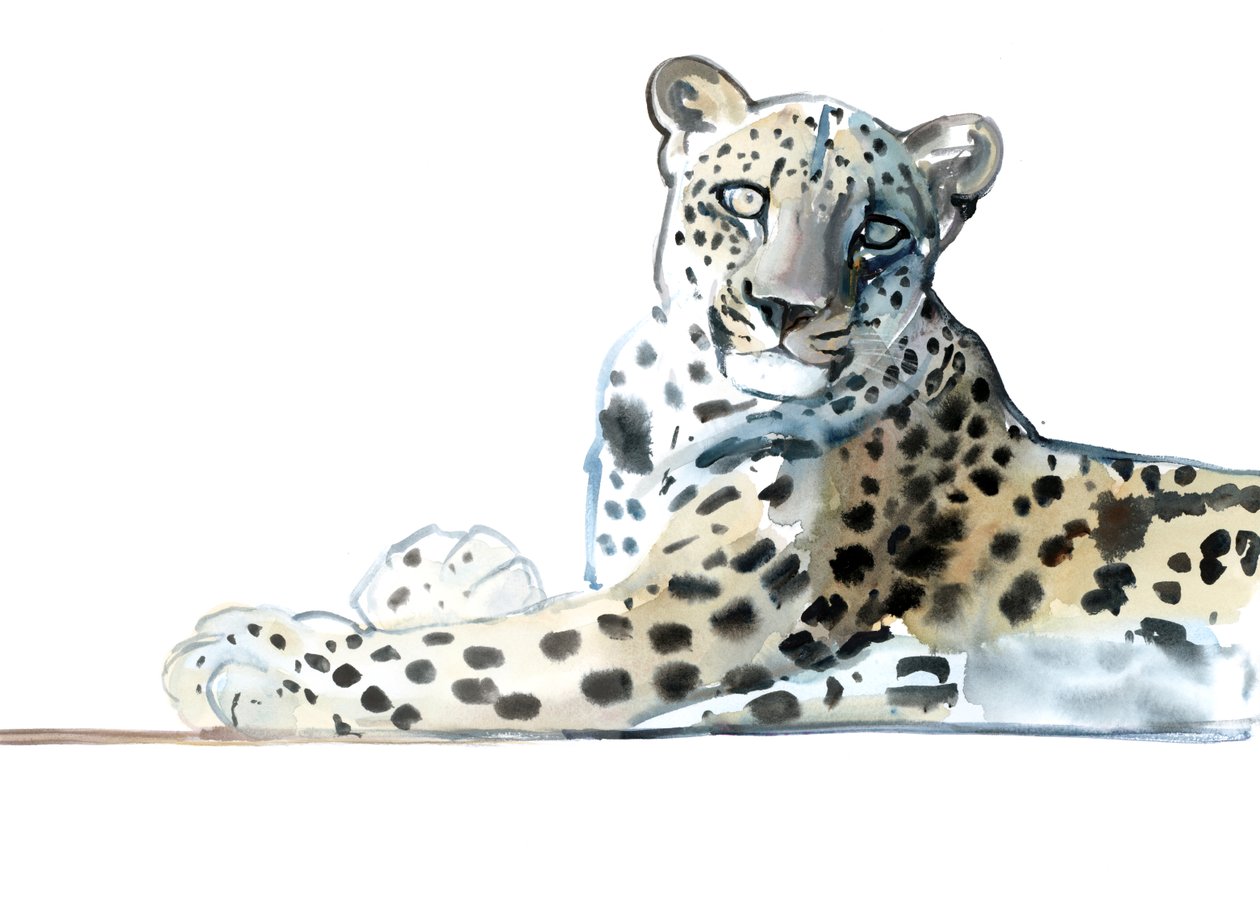 Tilt (arabisk leopard), 2015, (akvarell och gouache på papper) av Mark Adlington