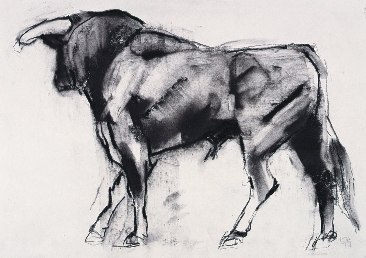 Toro Azul, studie (kol på papper) av Mark Adlington