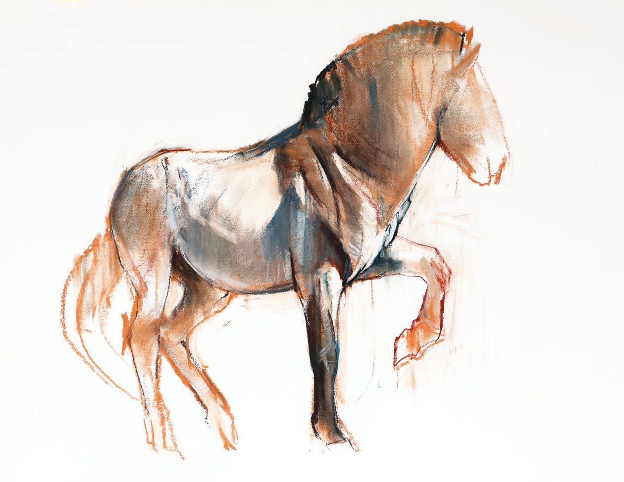 Turning (Przewalski), 2013, (pastell och träkol på papper) av Mark Adlington