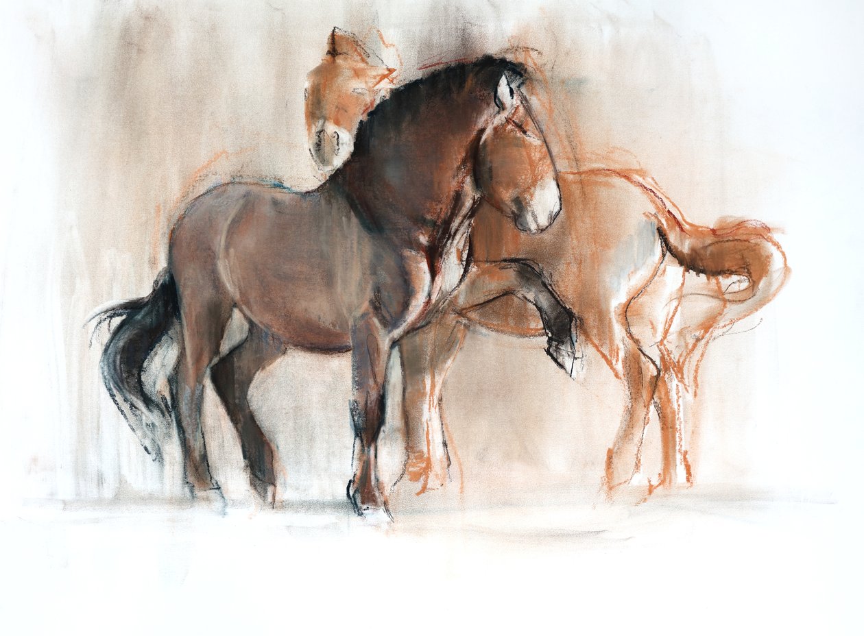Två (Przewalski), 2013, (pastell och kol på papper) av Mark Adlington