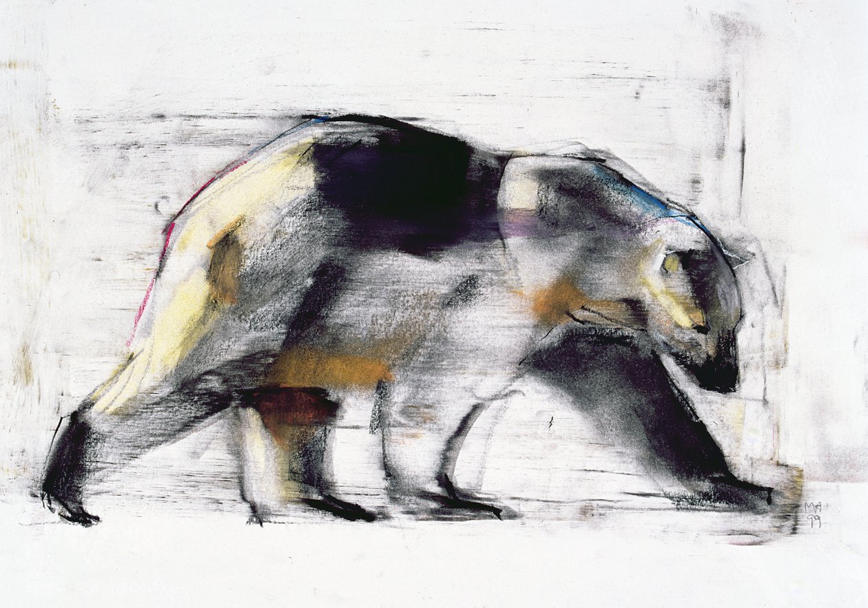 Ursus Maritimus, 1999 (charcoal und conte på papper) av Mark Adlington