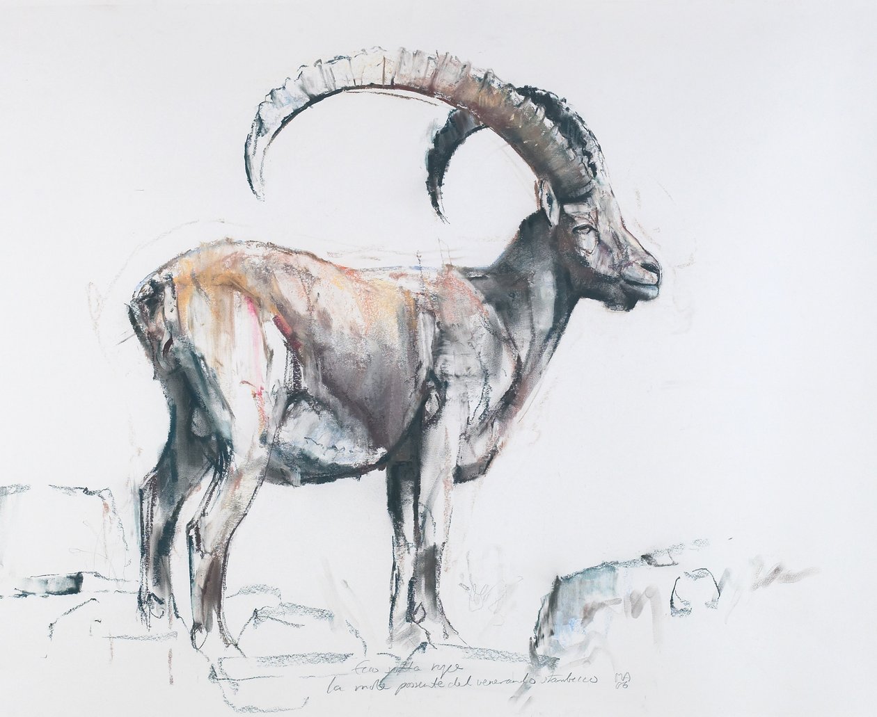 Venerando Stambecco, 2006 (charcoal und conte på papper) av Mark Adlington