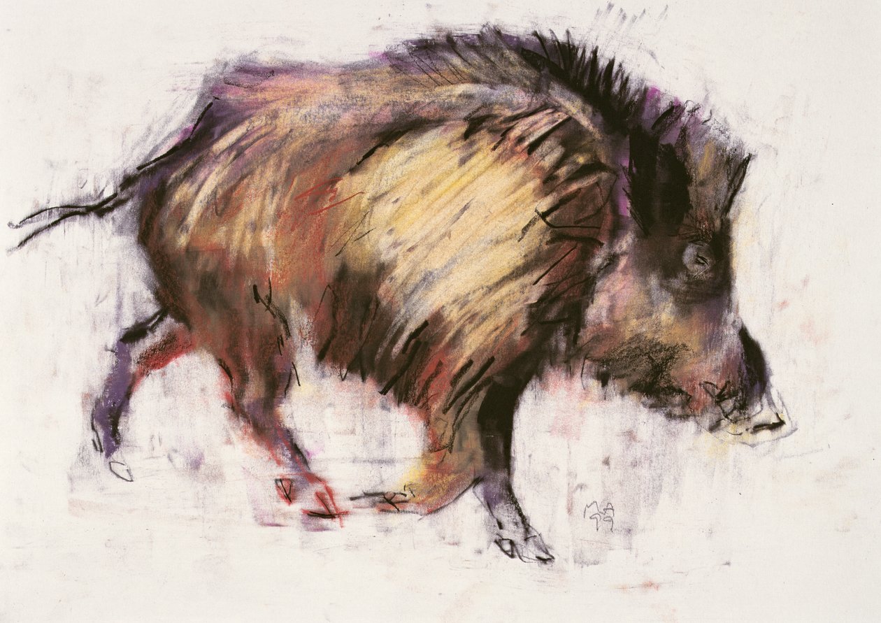 Vildsvinstrav, 1999 (grafit, conte och kol på papper) av Mark Adlington