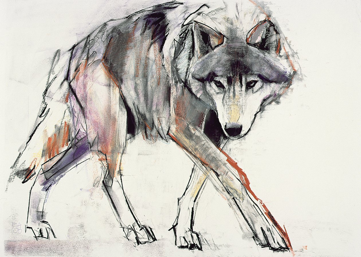 Wolf (bland media på papper) av Mark Adlington