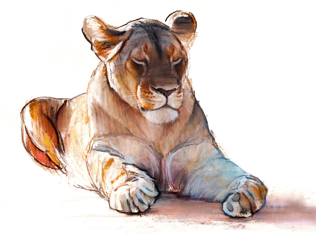 Yogi lejoninna, 2019 av Mark Adlington