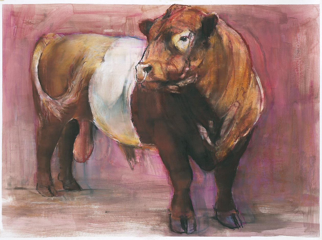Zeus, Red Belted Galloway Bull, 2006 (blandmaterial på papper) av Mark Adlington