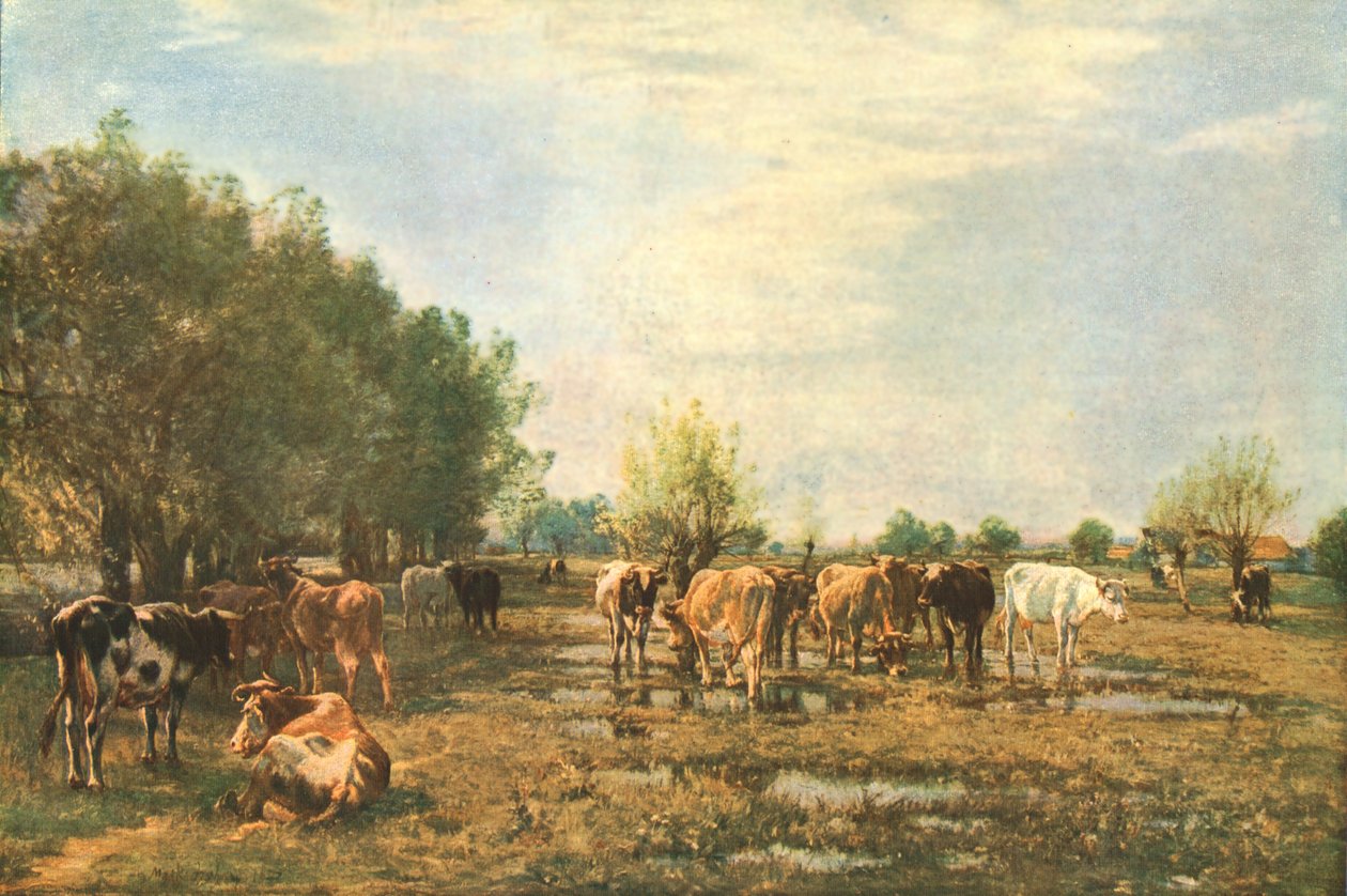 Fen ängar med boskap, 1877, c1930. av Mark Fisher