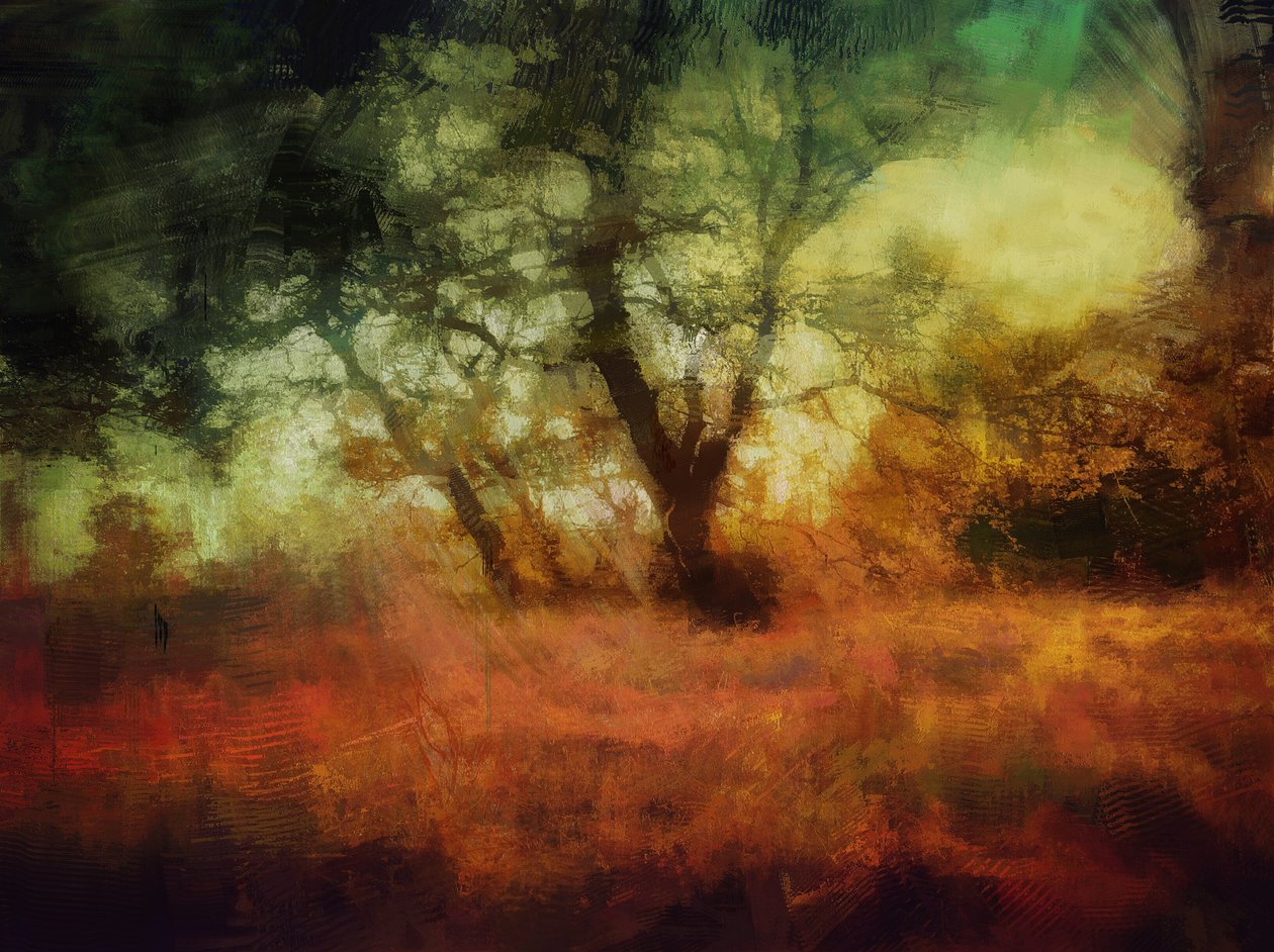 skogar vid Calke Abbey av Mark Gordon