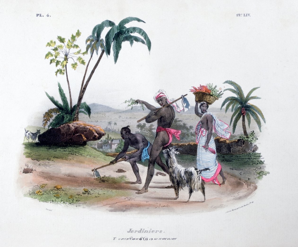 Trädgårdsmästare, 1828 av Marlet et Cie