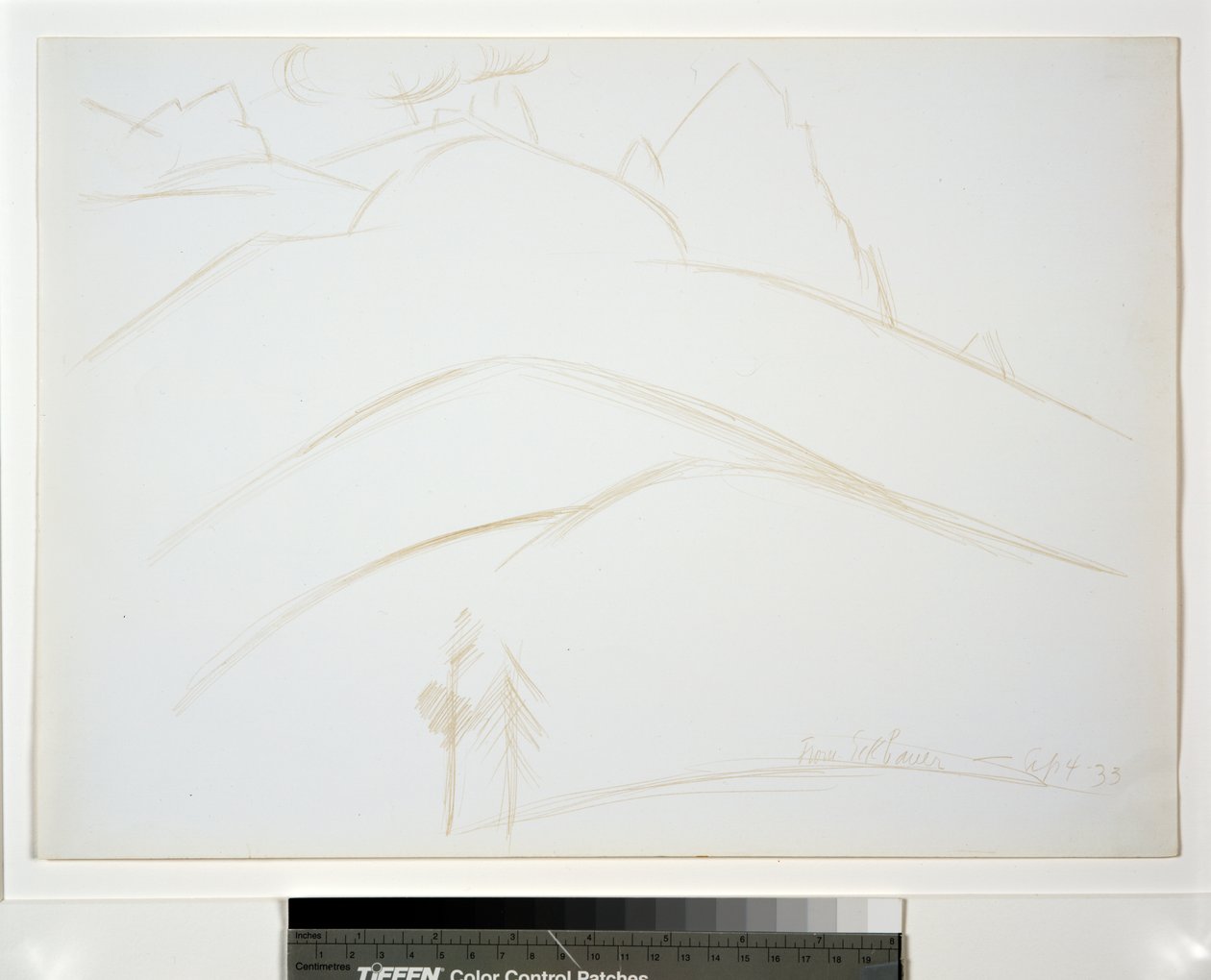 Bergslandskap med två tallar av Marsden Hartley