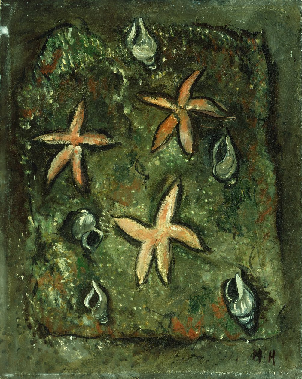 Stjärnfisk och skal av Marsden Hartley