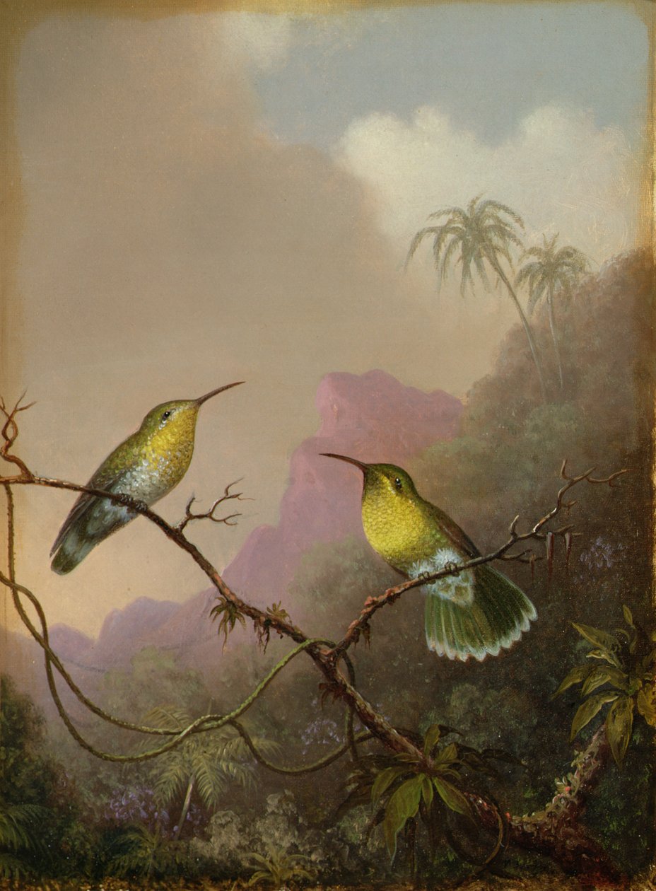 Två kolibrier, ca 1865-75 av Martin Johnson Heade