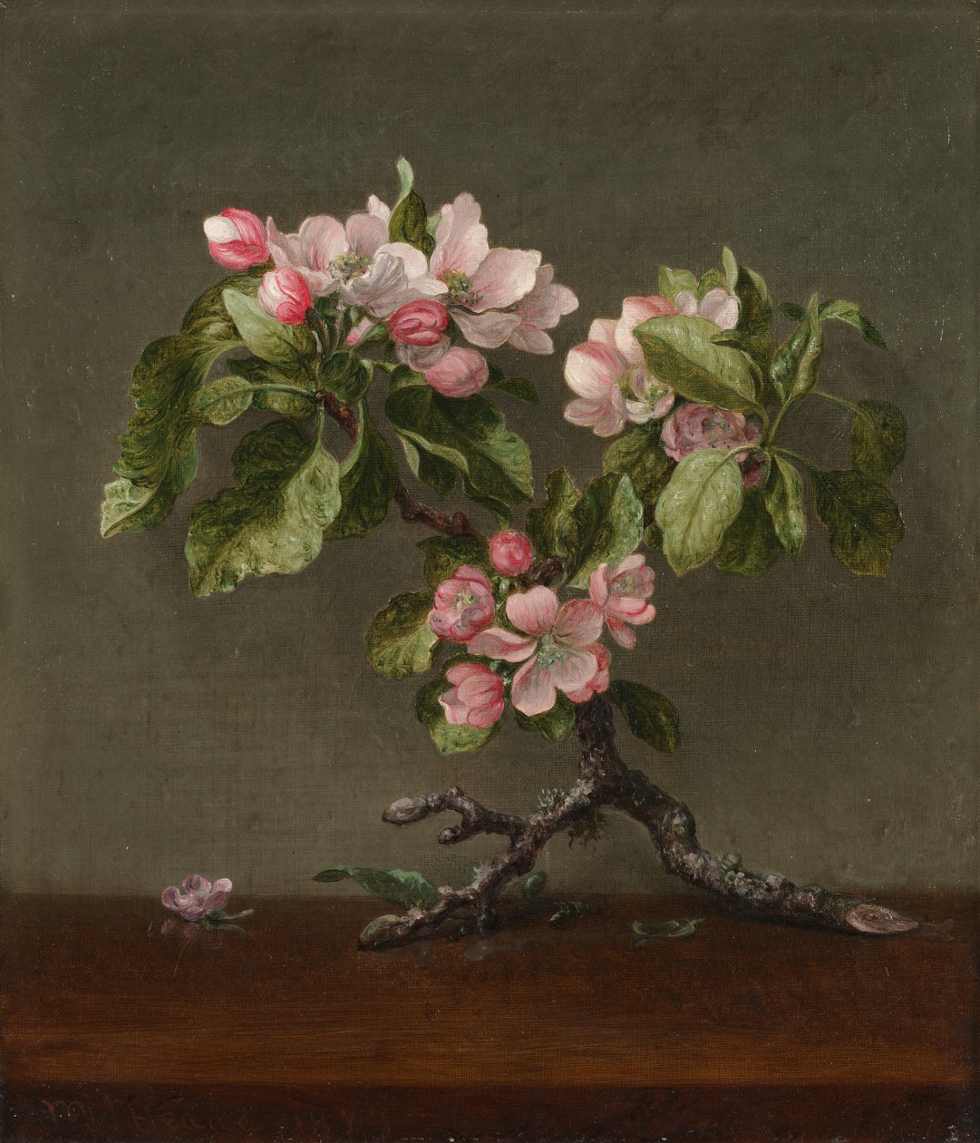 Äppelblom av Martin Johnson Heade