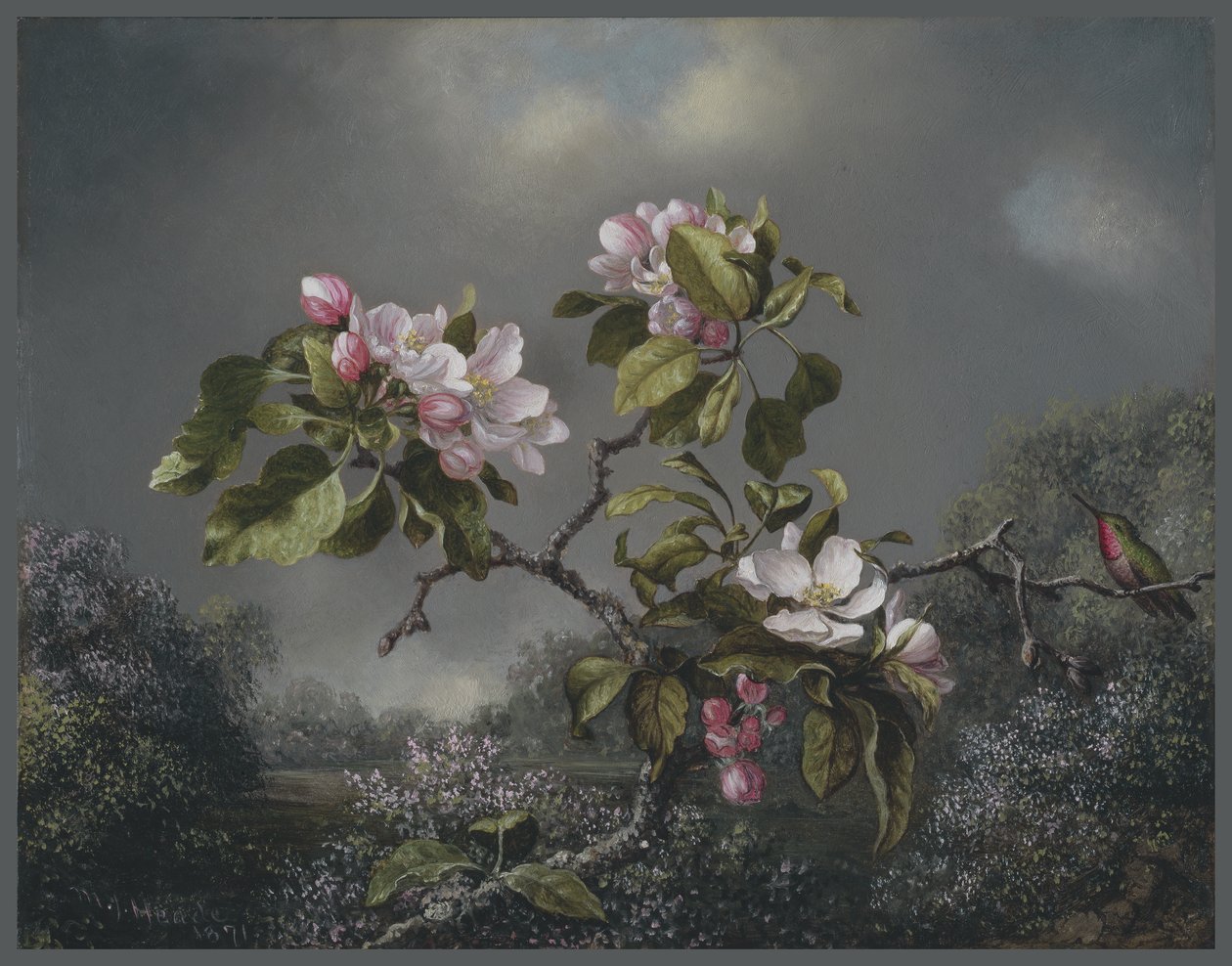 Äppelblom och kolibri, 1871 av Martin Johnson Heade