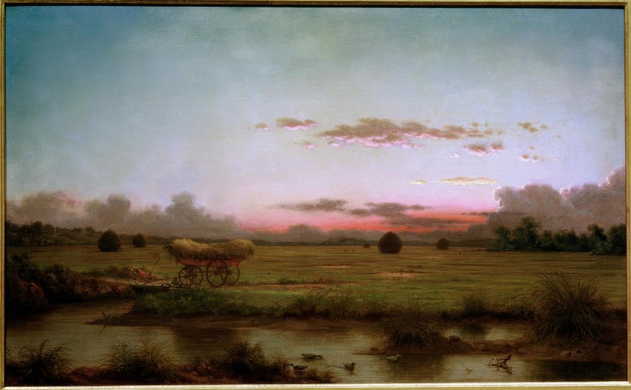Träskarna på Rhode Island av Martin Johnson Heade