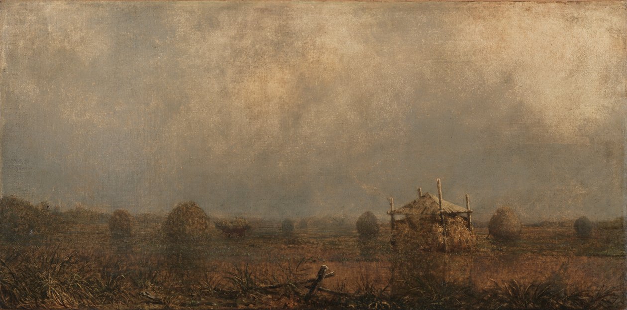 Högvatten på myrarna av Martin Johnson Heade