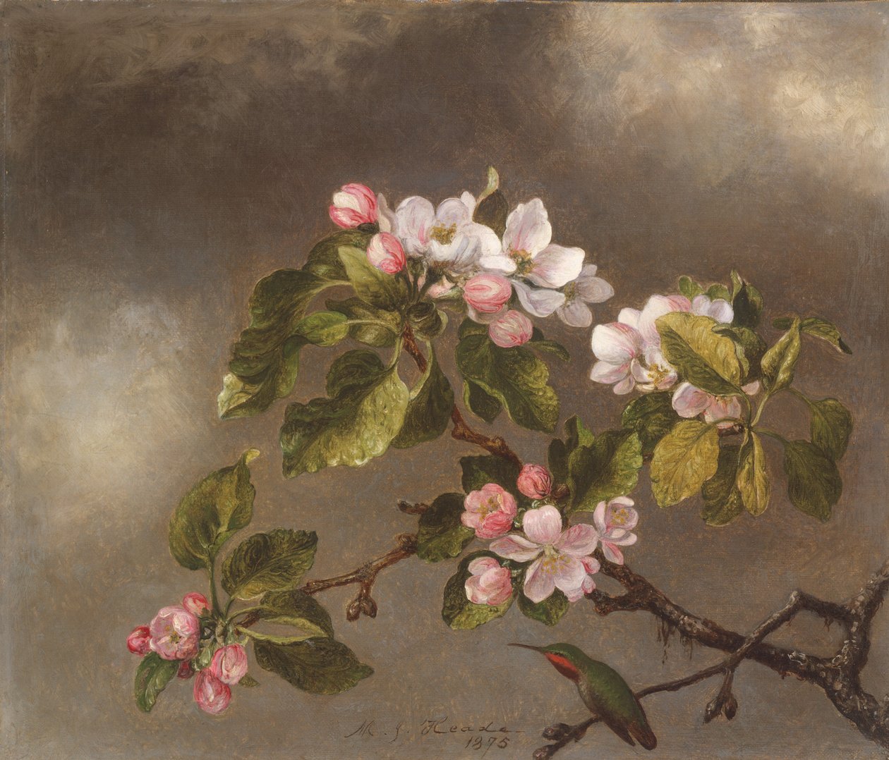 Kolibri och äppelblommor, 1875. av Martin Johnson Heade