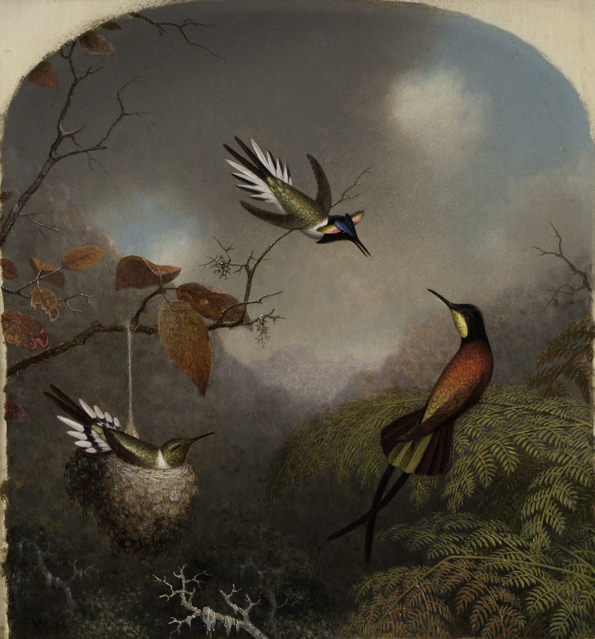 Kolibrier: Två sungemer och en karminröd topas, 1866 av Martin Johnson Heade