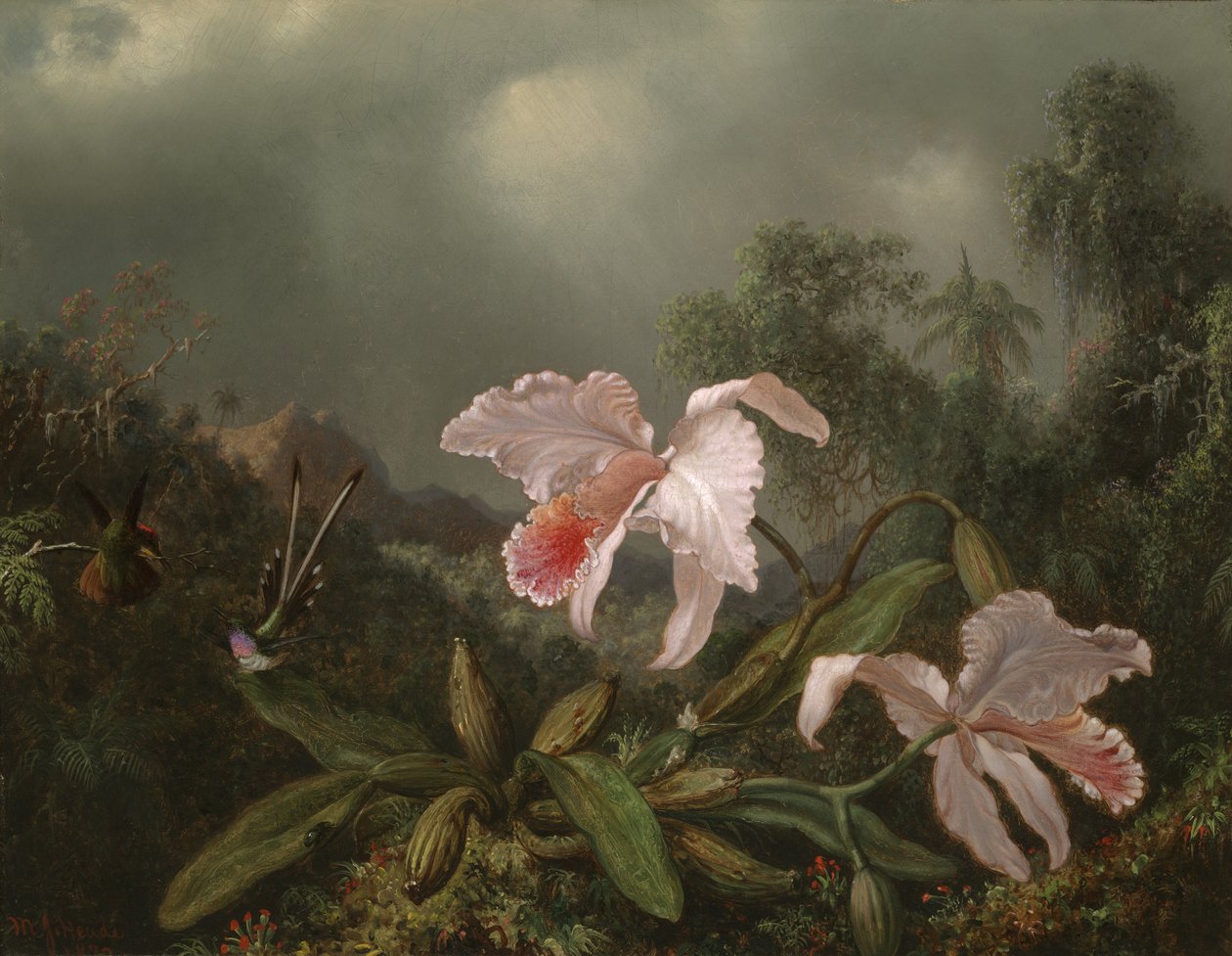 Djungelorkidéer och kolibrier, 1872 av Martin Johnson Heade