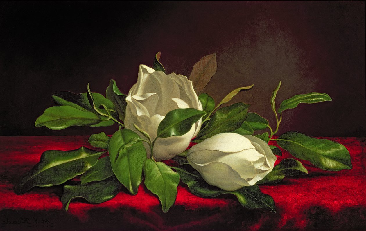 Magnolia av Martin Johnson Heade