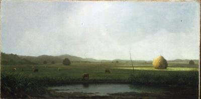 Marsh Scene: Nötkreatur nära en hösadel (olja på duk) av Martin Johnson Heade