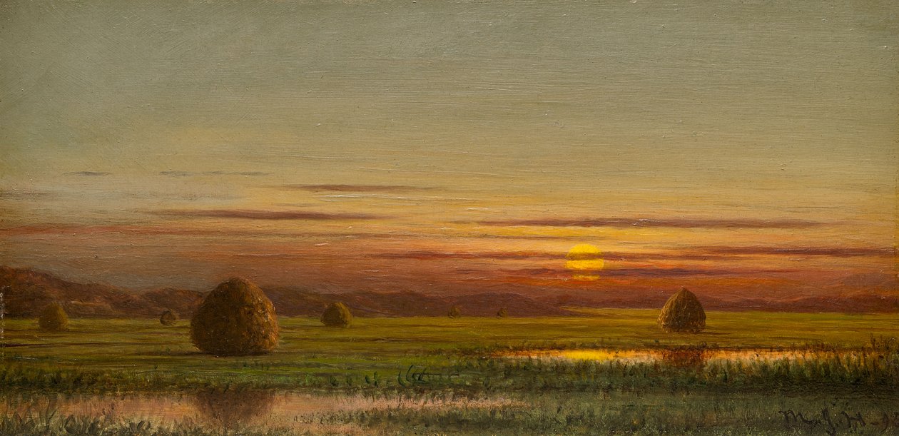 Våtmarker av Martin Johnson Heade