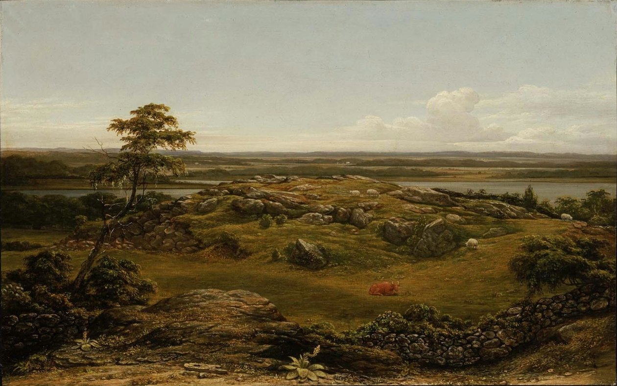 Stenar i New England av Martin Johnson Heade