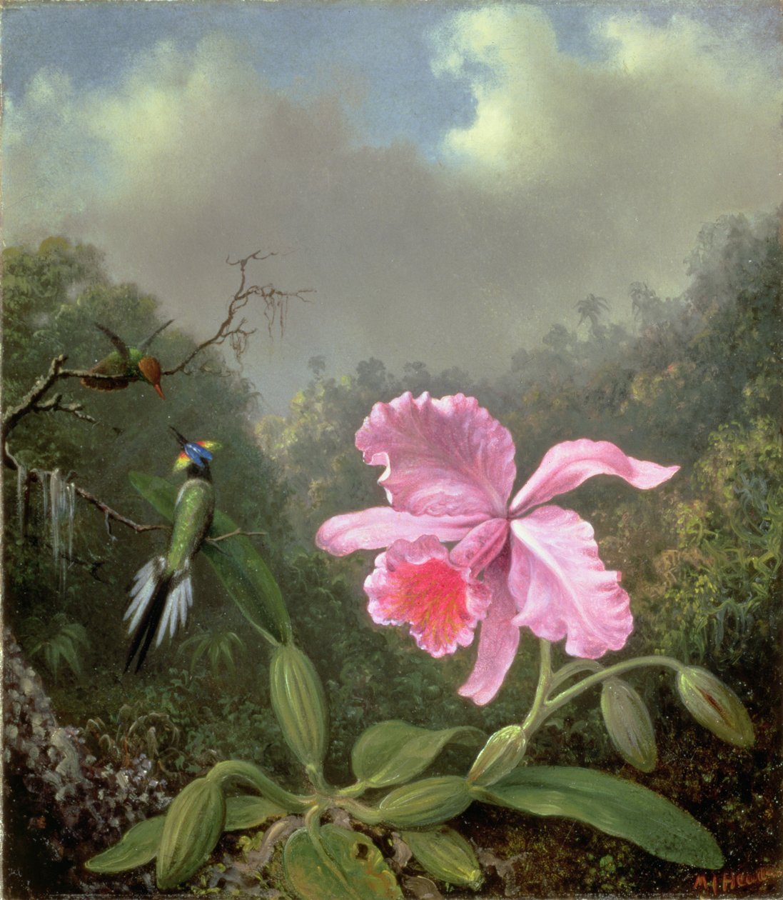 Stilleben med en orkidé och ett par kolibrier, ca 1890-talet (olja på duk) av Martin Johnson Heade