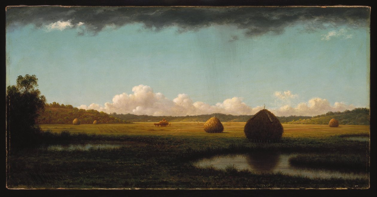 Sommarduschar av Martin Johnson Heade