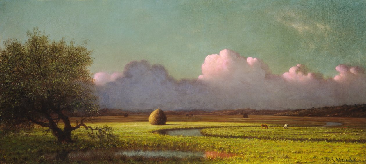 Solljus och skugga: Newbury Marshes av Martin Johnson Heade