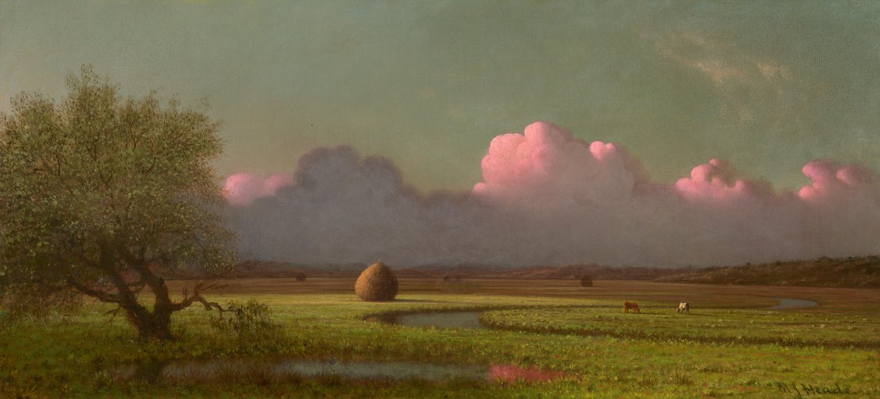 Solljus och skugga: Newburys våtmarker av Martin Johnson Heade