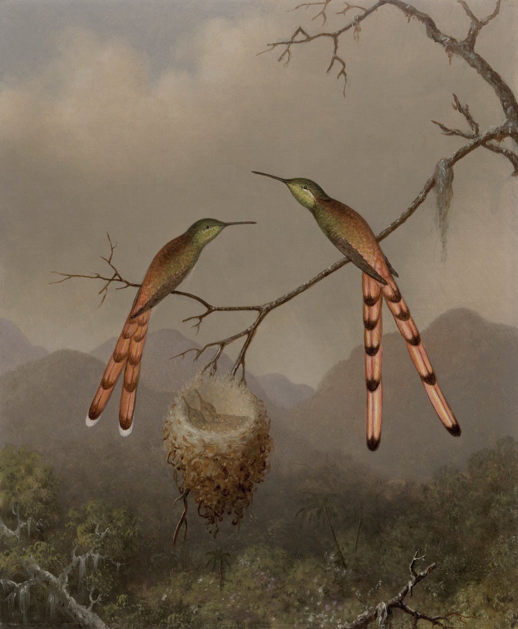 Två kolibrier med sina ungar av Martin Johnson Heade