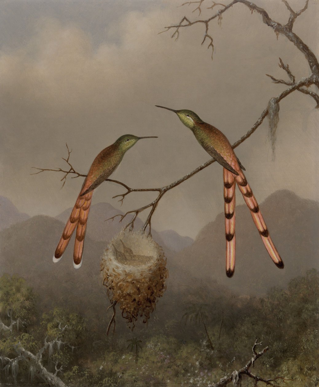 Två kolibrier med sina ungar av Martin Johnson Heade