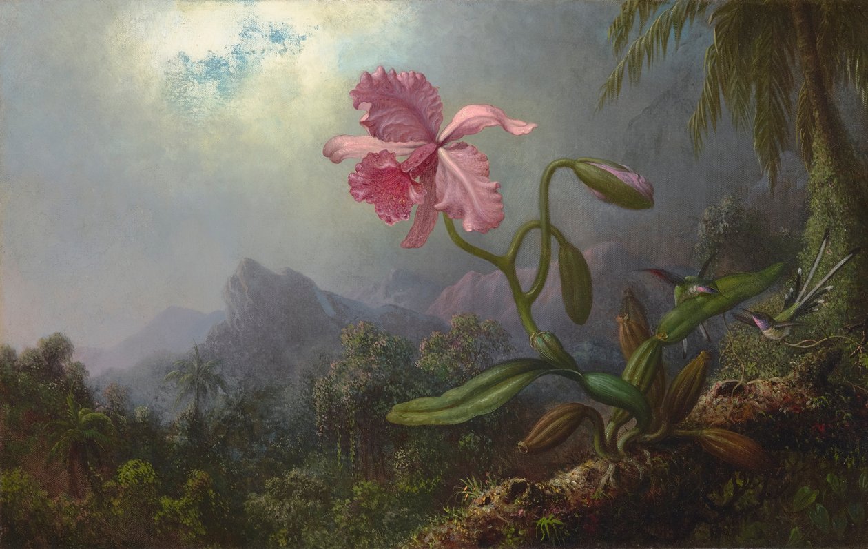 Två kolibrier med en orkidé 1875 (olja på duk) av Martin Johnson Heade