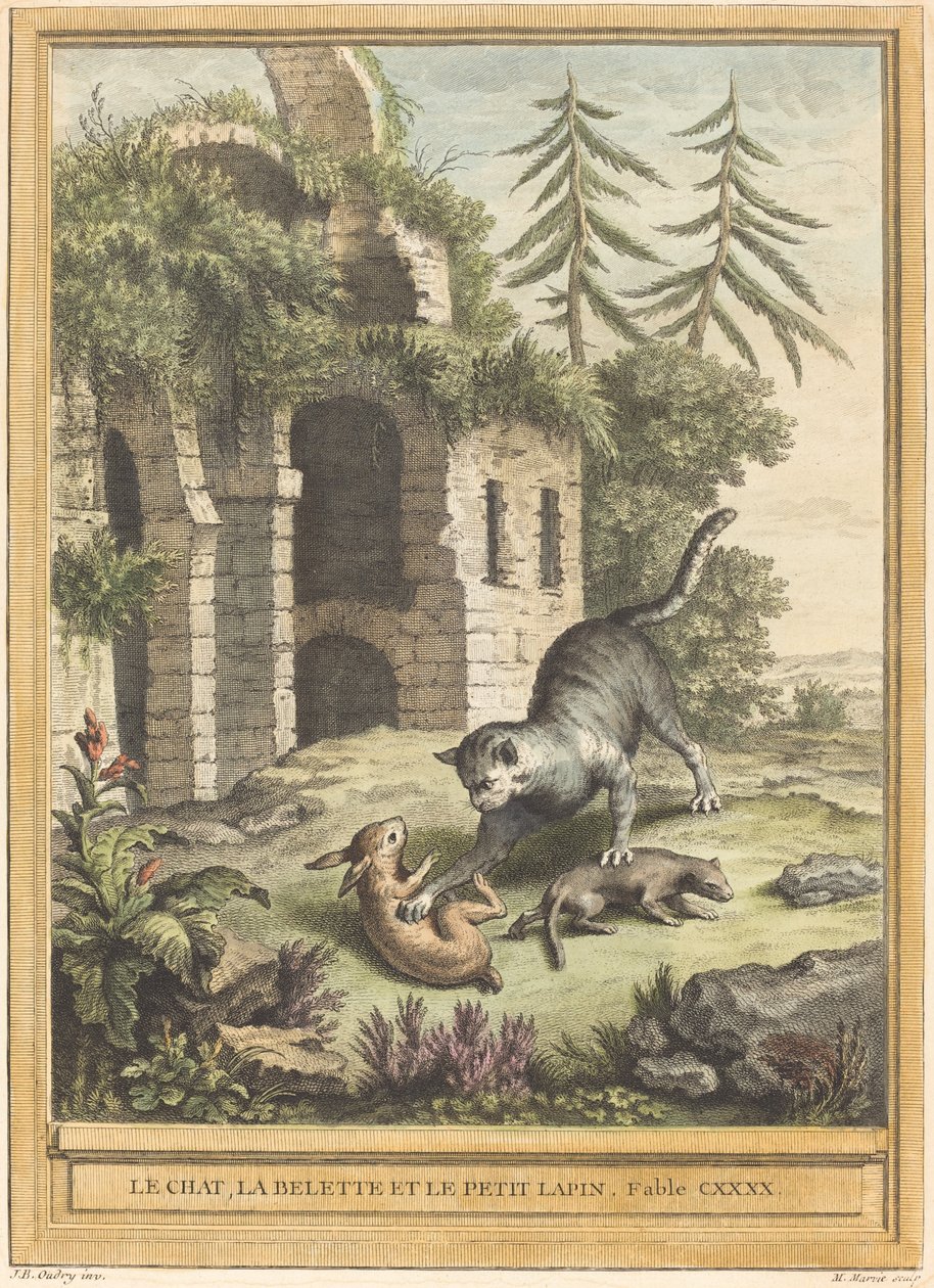 Le chat, la belette et le petit lapin (Katten, vesslan och kaninen) av Martin Marvie after Jean Baptiste Oudry