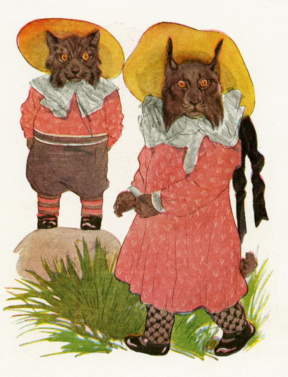Bobcat och kanadensiska lodjur, 1913 av Martin Ross
