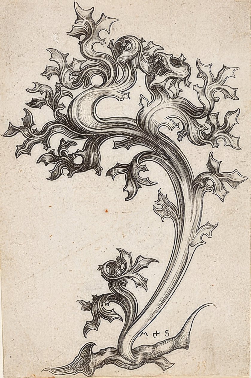 Bladprydnad från en tistel av Martin Schongauer