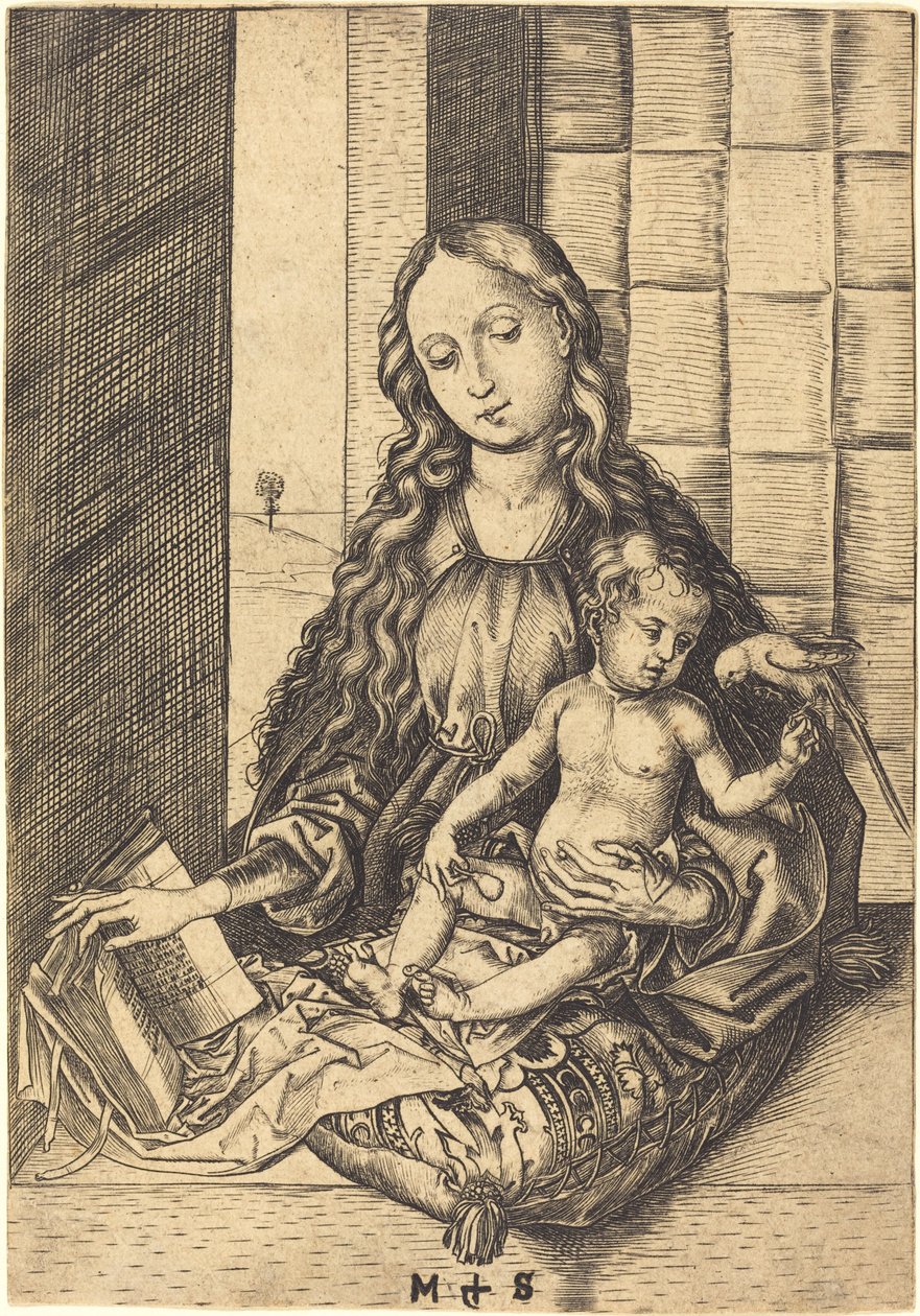 Madonna med en papegoja av Martin Schongauer